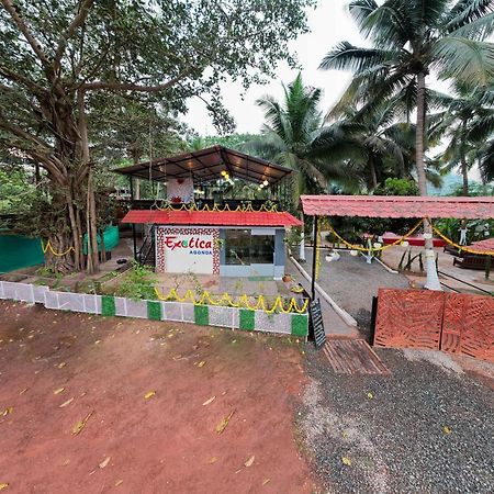 Hotel The Exotica Agonda Exterior foto